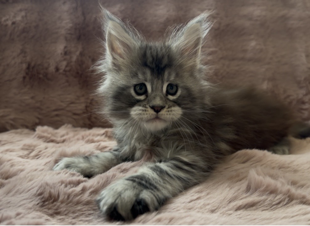 Boy From Breeder