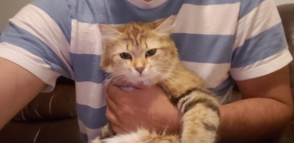 Jolie's Family photo 18