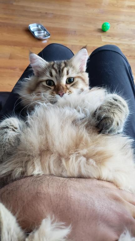Jolie's Family photo 17