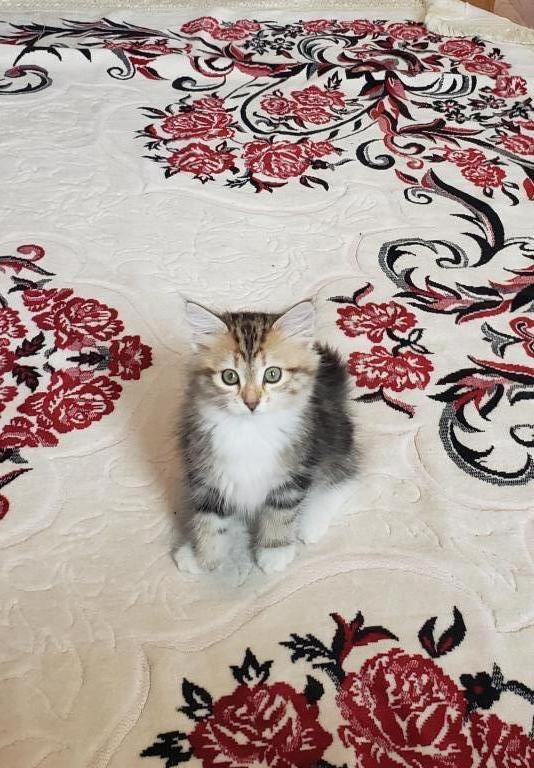 Jolie's Family photo 25
