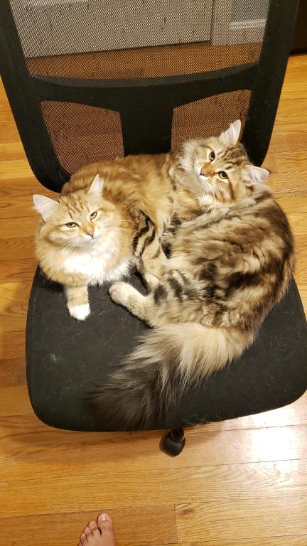 Jolie's Family photo 14