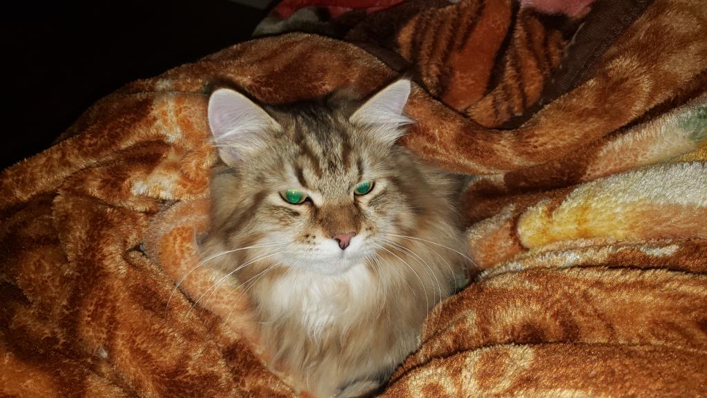 Jolie's Family photo 16