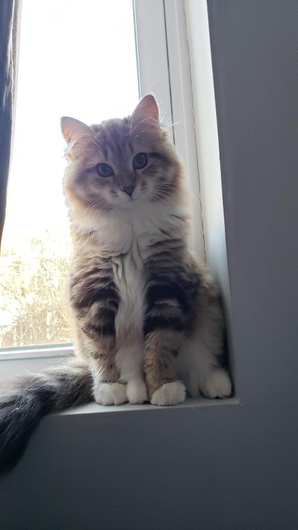 Jolie's Family photo 22