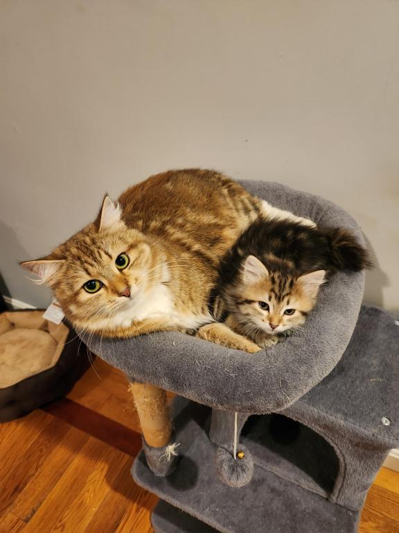 Jolie's Family photo 4