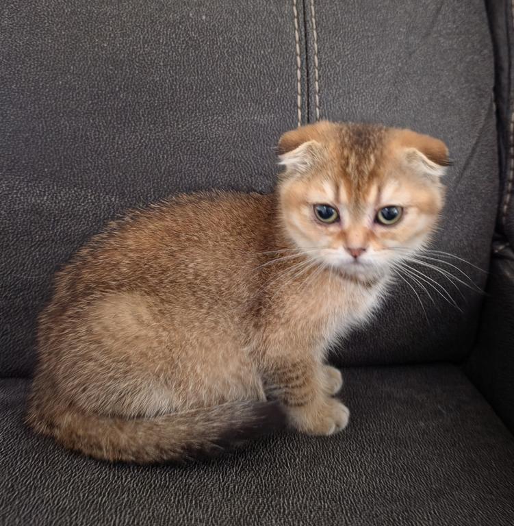 Penny photo 2