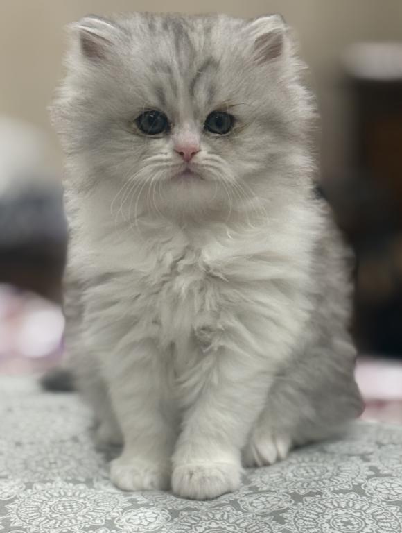 Kiki photo 2