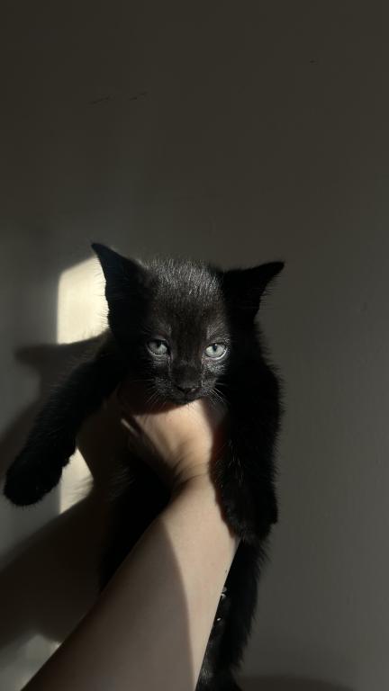 Jet photo 1