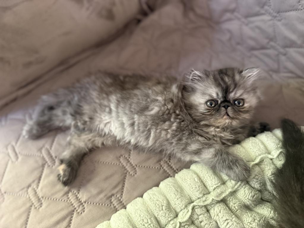 Zoey