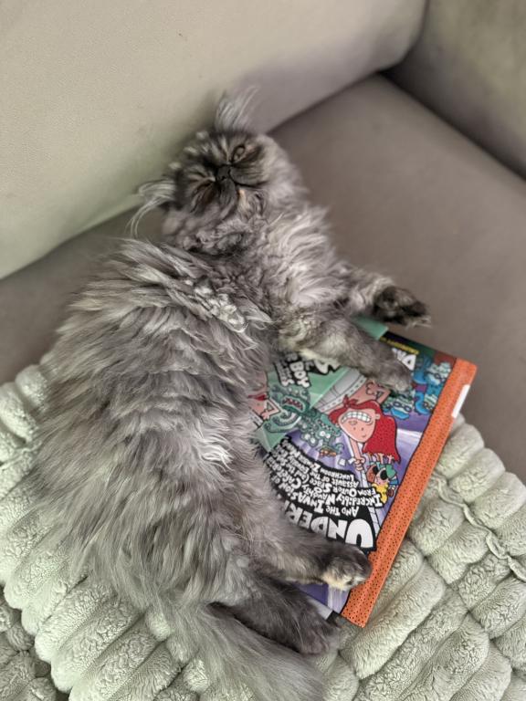 Zoey photo 2