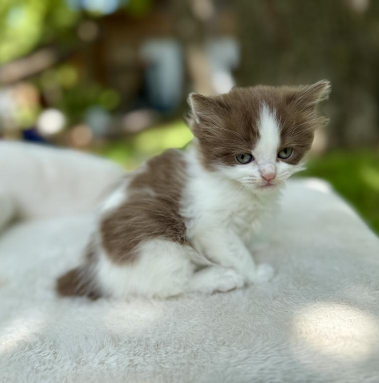 Kiki photo 2