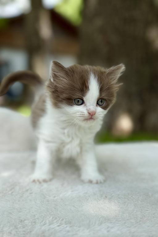 Kiki photo 3