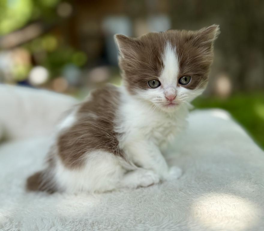 Kiki photo 4