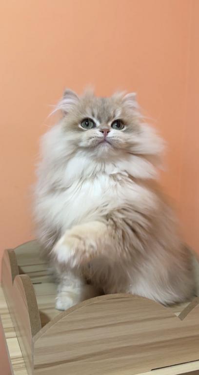 Brian photo 7