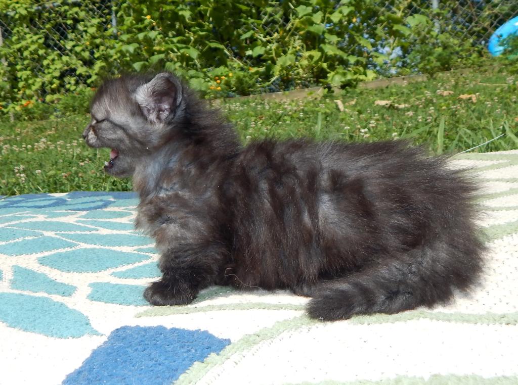 Ducky Is Reserved photo 4