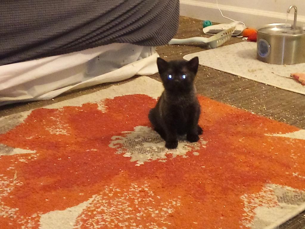 Vader photo 1