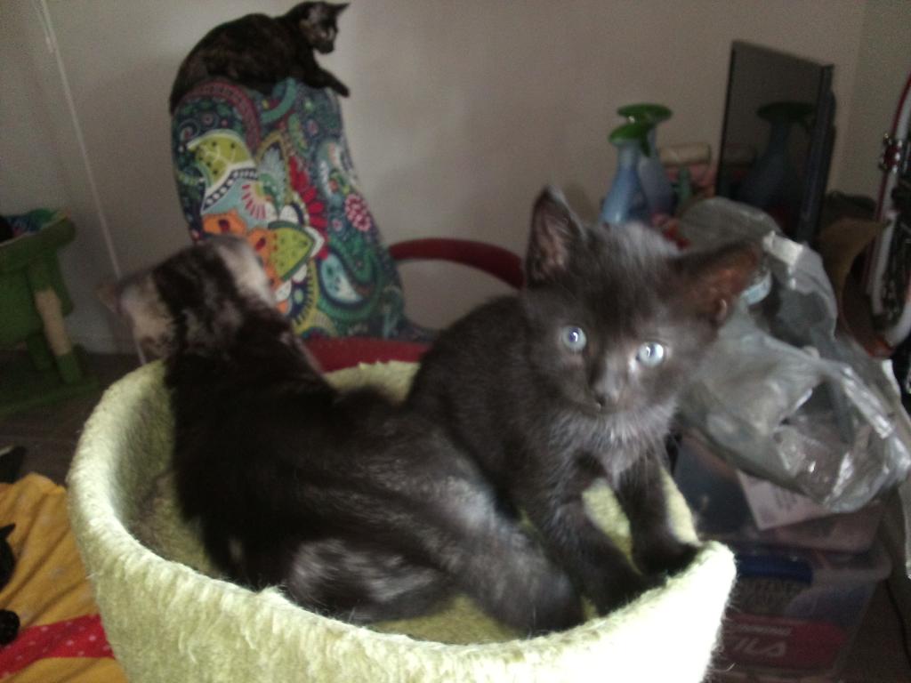 Vader photo 3