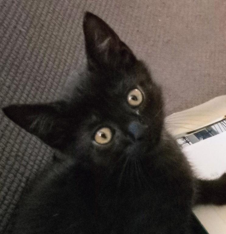 Vader photo 2