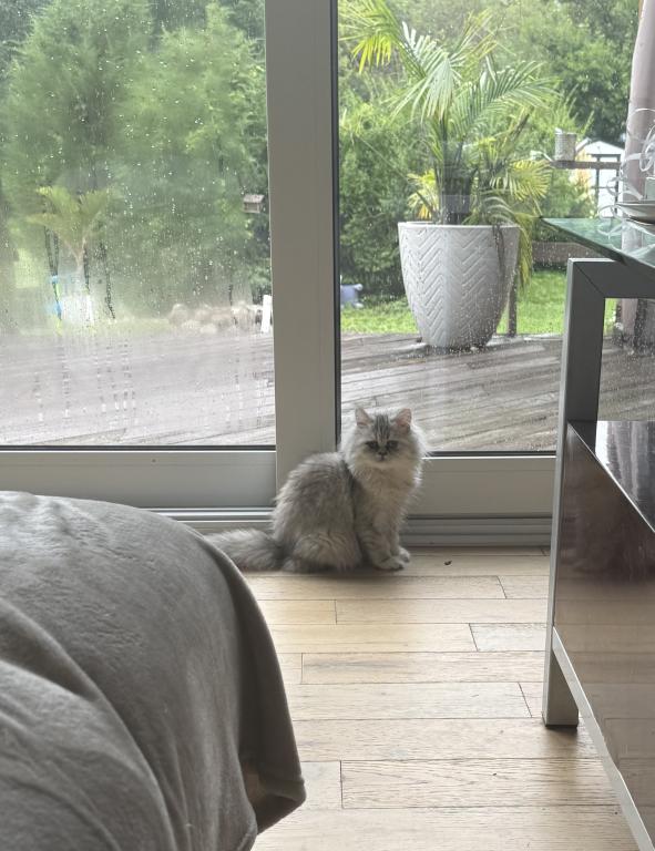 Coco