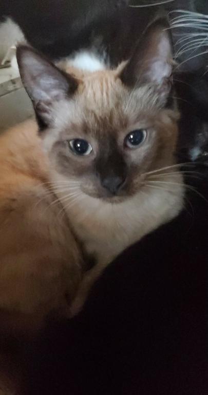 Lily photo 3