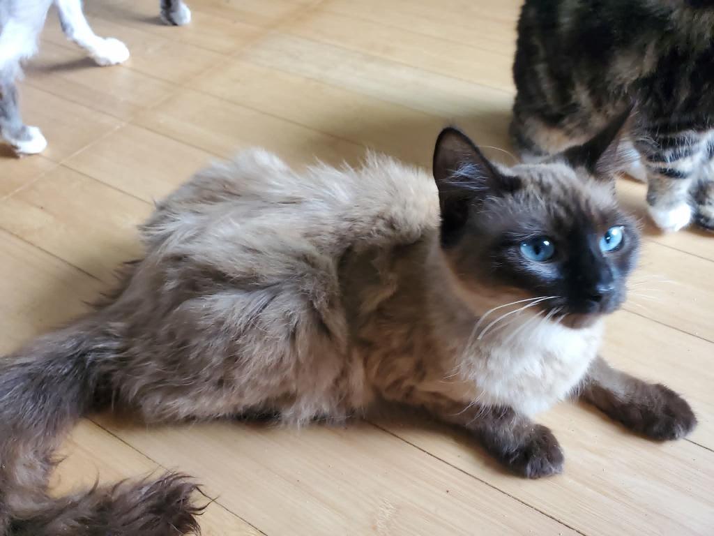 Lily photo 2