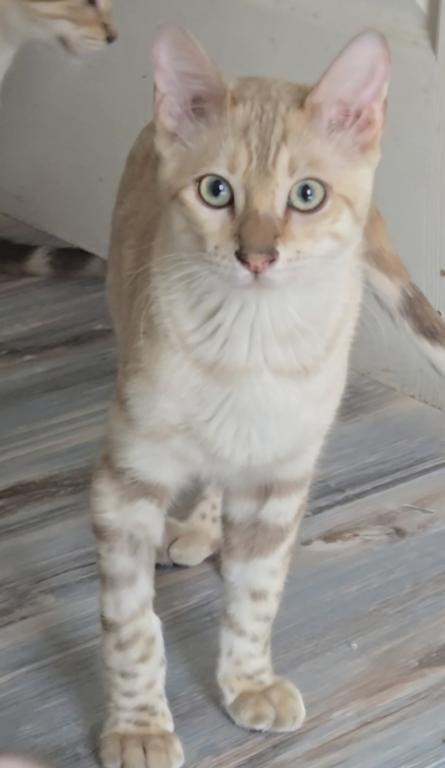 Charlie photo 4