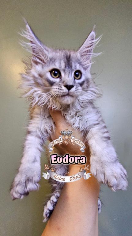 Eudora photo 1