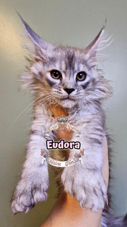 Eudora photo 3