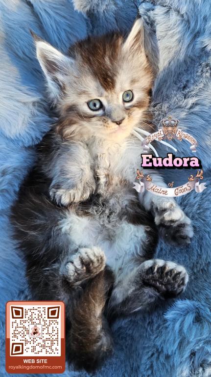 Eudora photo 8