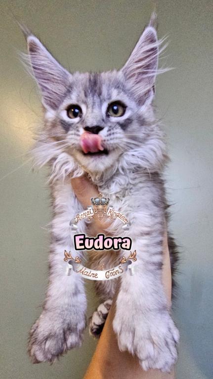 Eudora photo 4