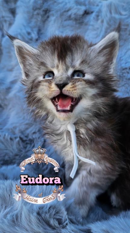 Eudora photo 6
