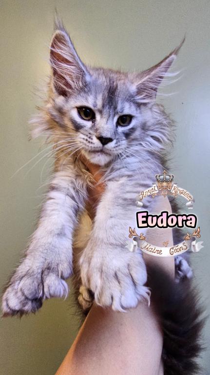 Eudora photo 2