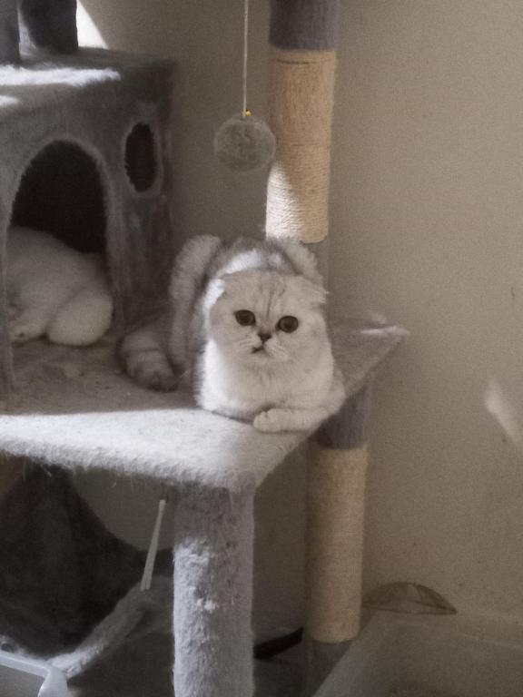 Little Grumpy photo 1