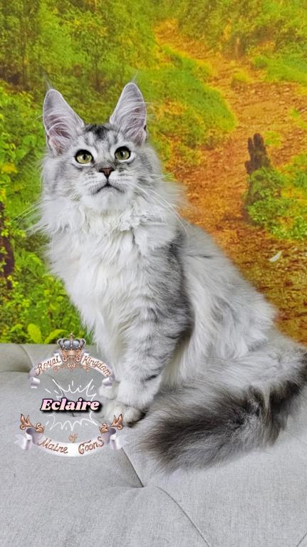 Eclaire photo 3