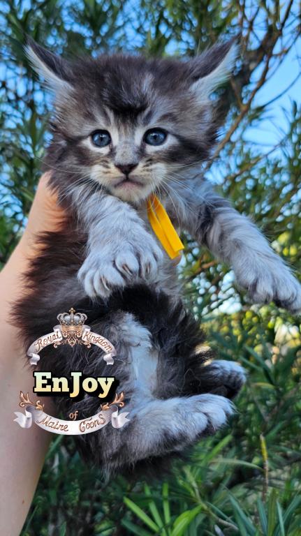 EnJoy photo 22