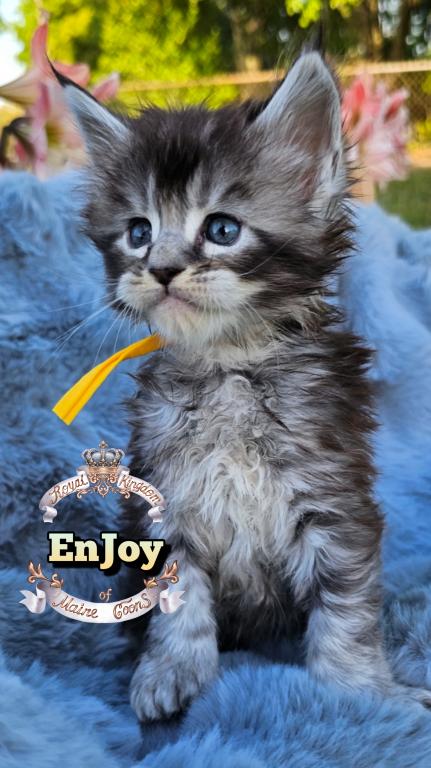 EnJoy photo 33