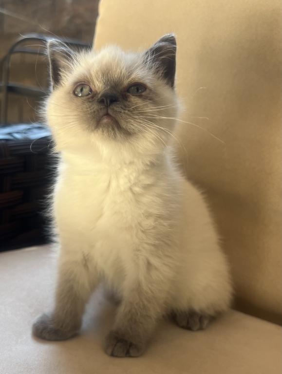 Cute photo 1