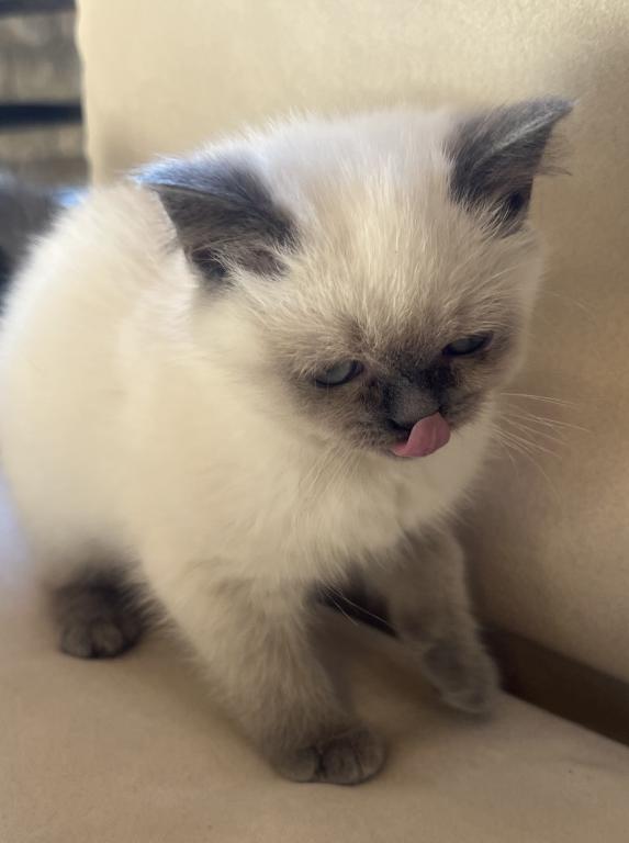 Cute photo 2