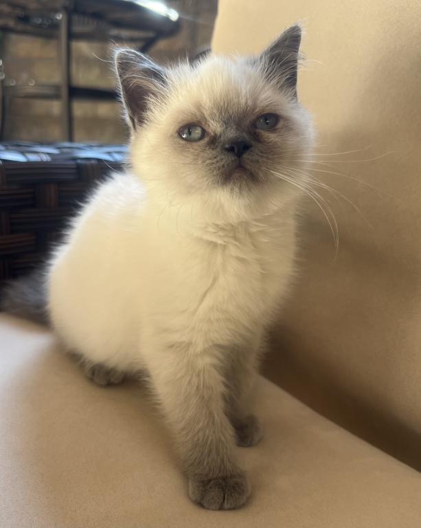Cute photo 5