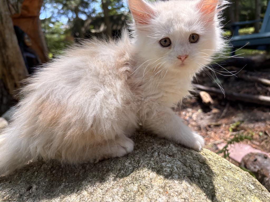 Albert photo 3