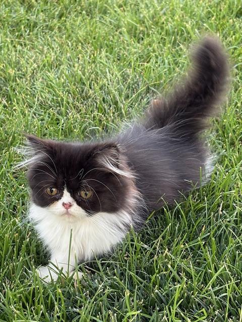 Mavis photo 1