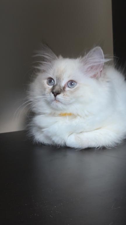 Millie photo 30