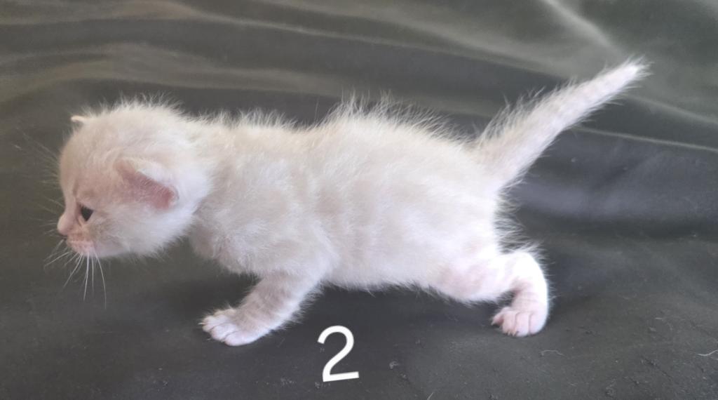 Summer Litter photo 23
