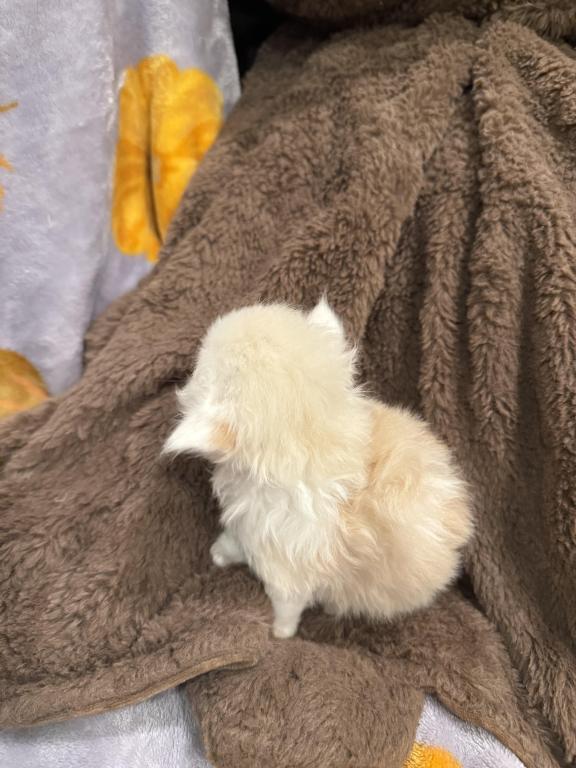 Bobby photo 2