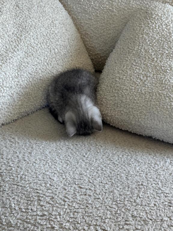 Derpy photo 7