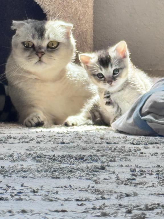 Derpy photo 8