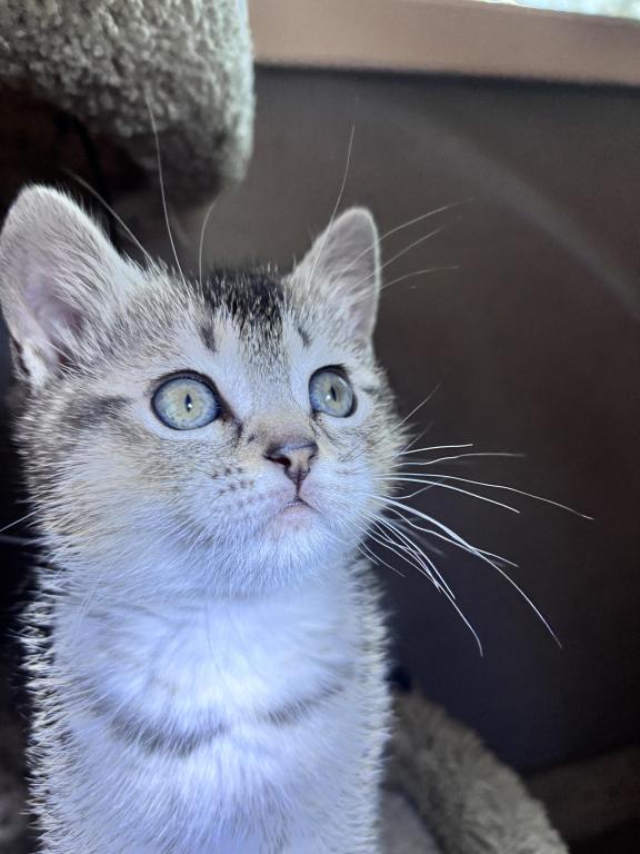 Derpy photo 4