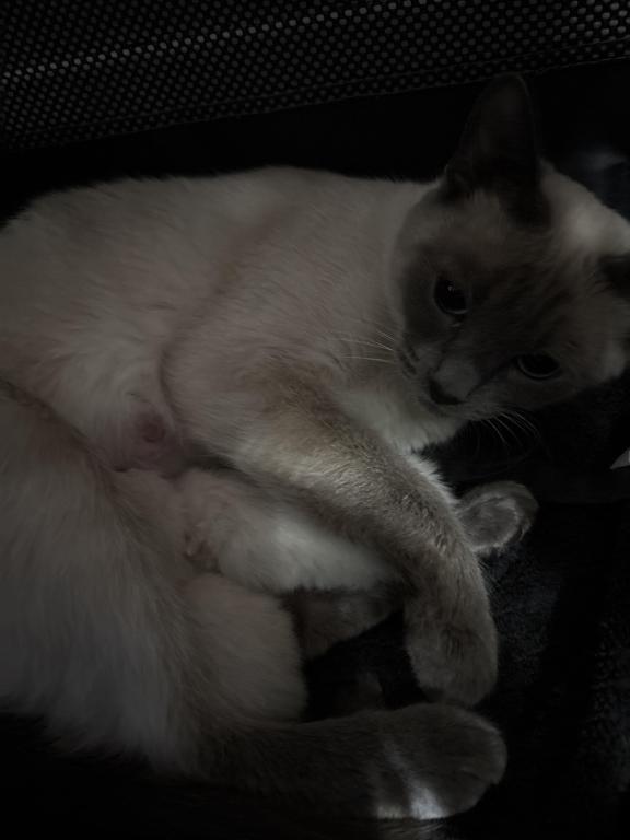Lucys Babies August photo 1