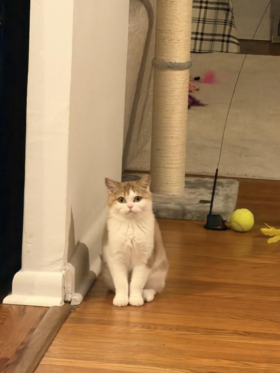 Bebe photo 3