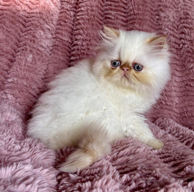 Marie photo 1