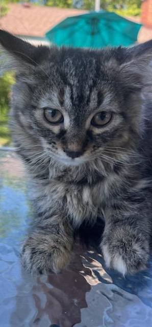 Lousie photo 3